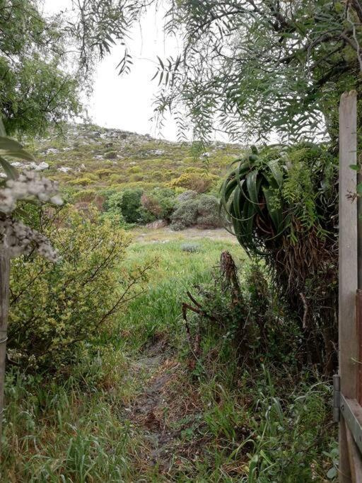 Serene Hide-Away With Ocean Views. Kapstadt Exterior foto
