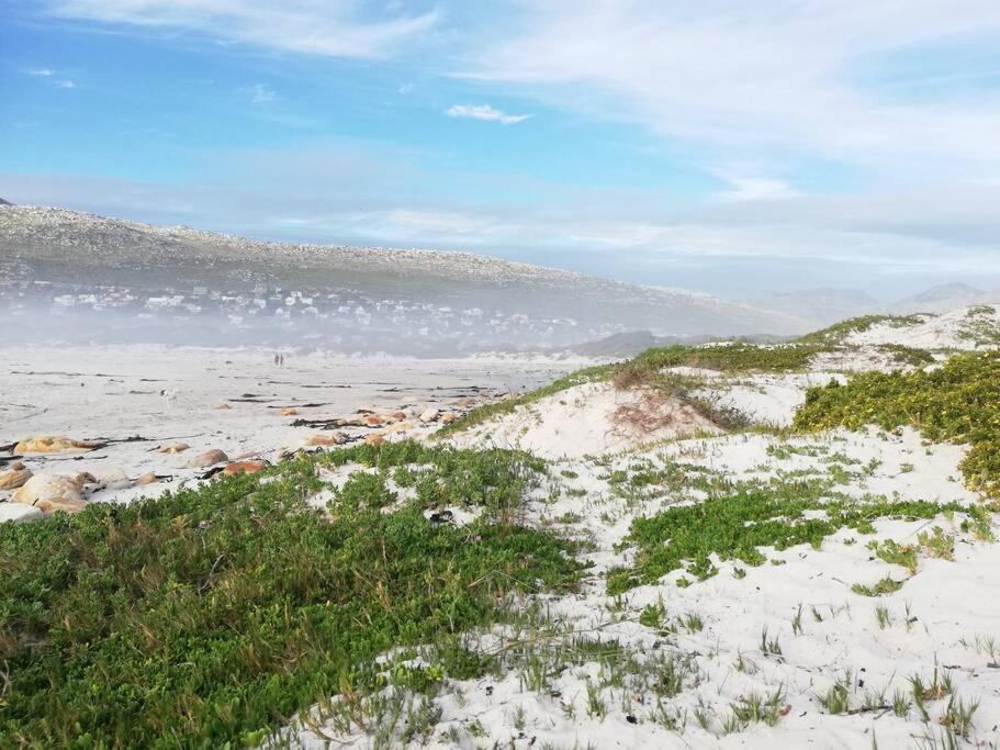 Serene Hide-Away With Ocean Views. Kapstadt Exterior foto